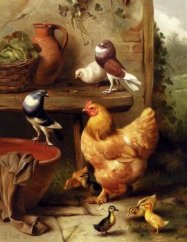 Edgar Hunt : A Chicken Doves Pigeons And Ducklings